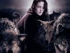 new moon