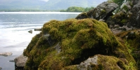parco killarney
